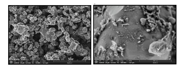 092059_615393_gsdt.png image.png