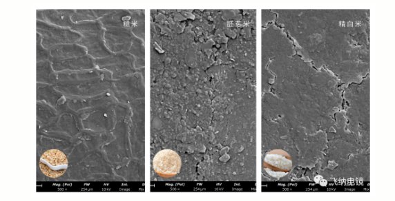 114546_820928_gsdt.png image.png