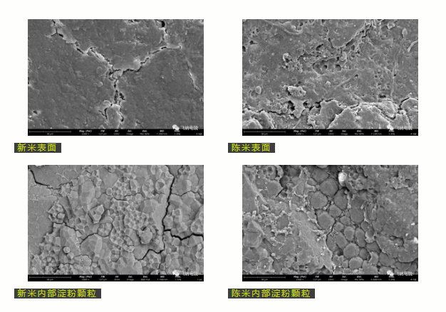 114607_991903_gsdt.png image.png