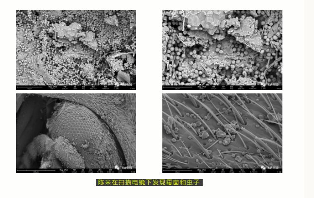 114628_301732_gsdt.png image.png