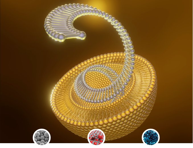 173414_337514_gsdt.png image.png