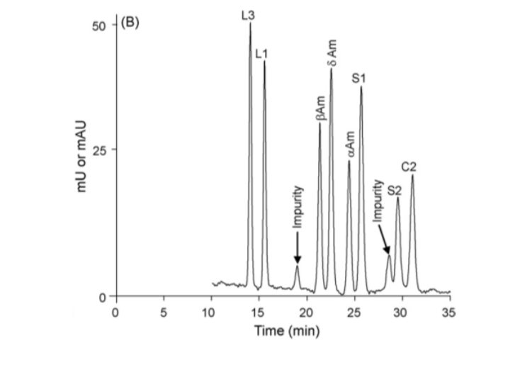 114156_079378_gsdt.png image.png