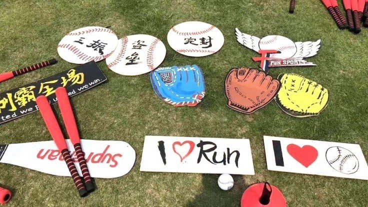 161157_008327_gsdt.jpg V9.jpg