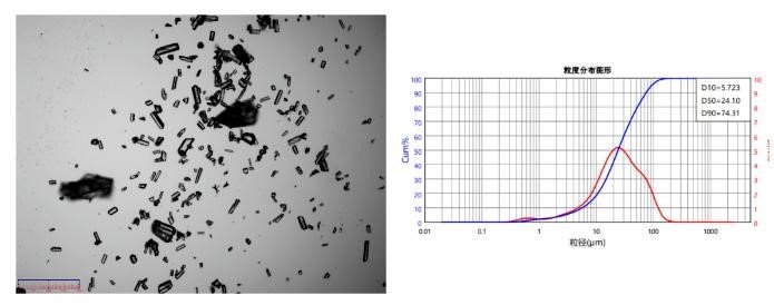 141422_513408_jswz.jpg 5.jpg