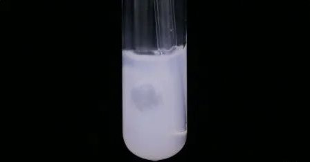 115052_296971_gsdt.png image.png