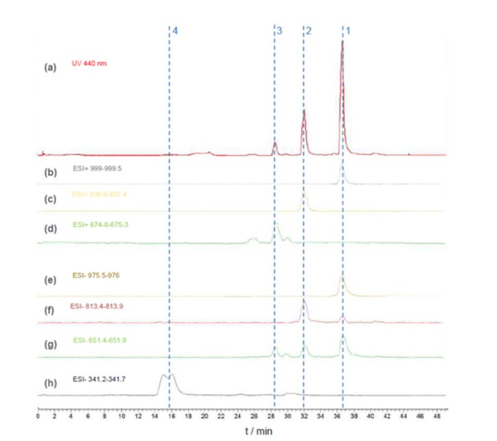 151816_878508_gsdt.png image.png