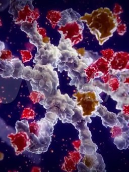 102453_588128_gsdt.png 微信圖片_20230727101849.png