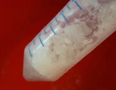 20230116-215988020.jpg 640 (2).jpg