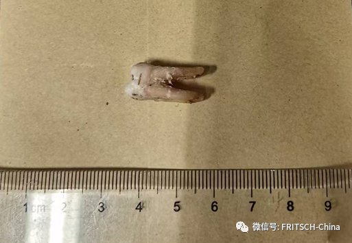 110706_148170_jswz.png image.png