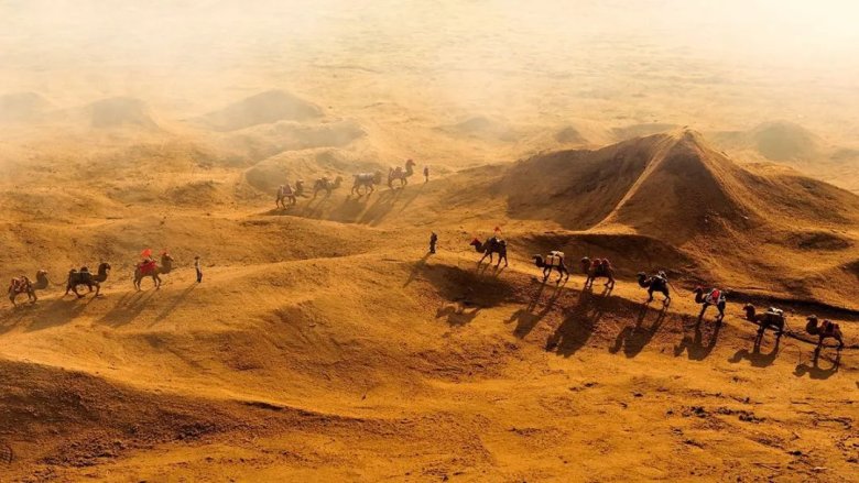 142949_110561_gsdt.jpg 142949_110561_gsdt.jpg