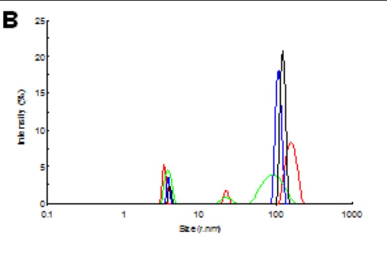 092442_813896_jswz.png 092442_813896_jswz.png