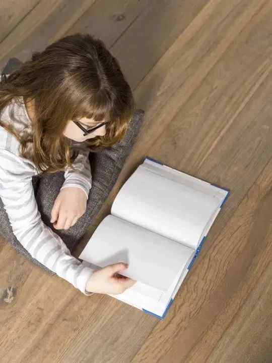 131131_208037_gsdt.jpg 2.jpg