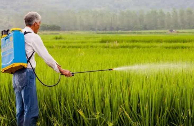 1-220615152S9630.png 1-220615152S9630.png