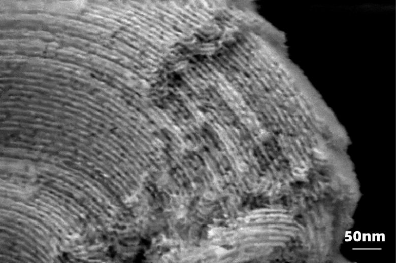 112748_757097_gsdt.png 112748_757097_gsdt.png