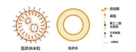 082402_806156_gsdt.png 082402_806156_gsdt.png