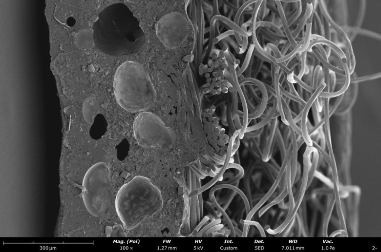 092419_617249_jswz.jpg 092419_617249_jswz.jpg