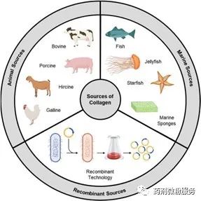 091634_355284_jswz.jpg 微信圖片_20231205091414.jpg