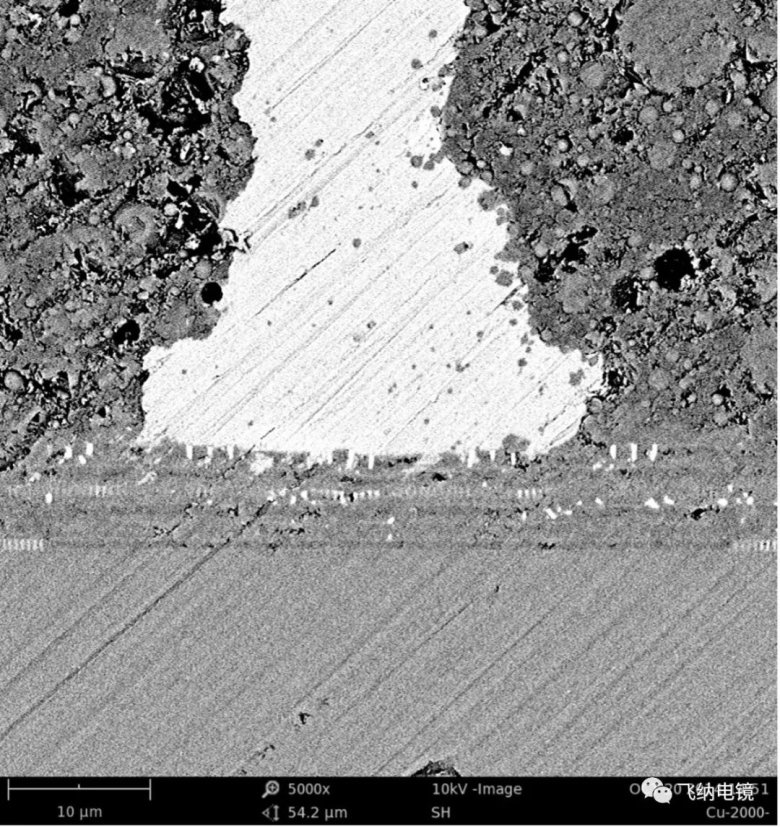 131811_258336_jswz.jpg 4.jpg