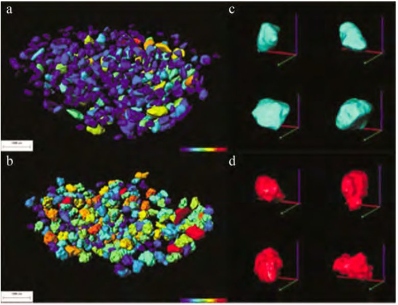 131724_888856_jswz.png 6.png