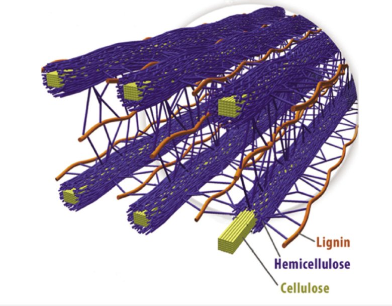 133334_053107_jswz.png 4.png