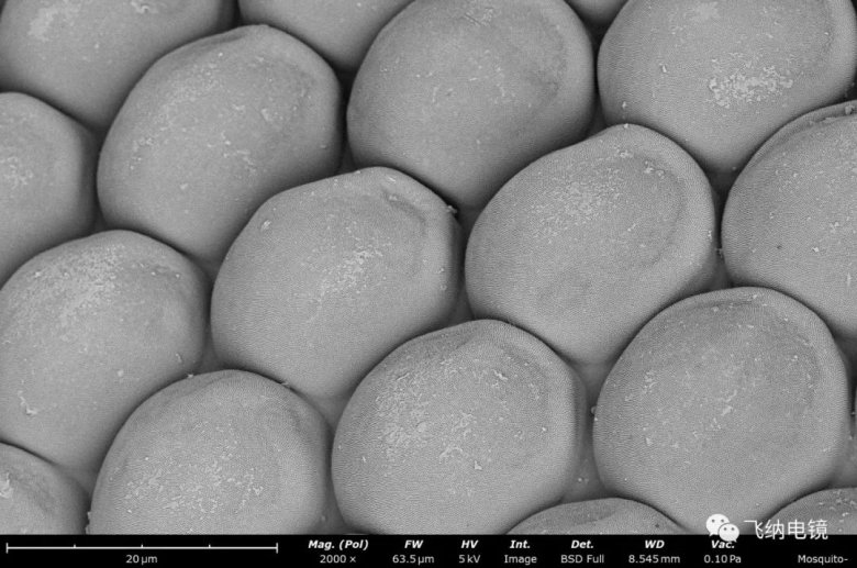 105346_318551_jswz.jpg 105346_318551_jswz.jpg