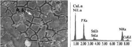 102258_128241_jswz.png 微信圖片_20231226102121.png