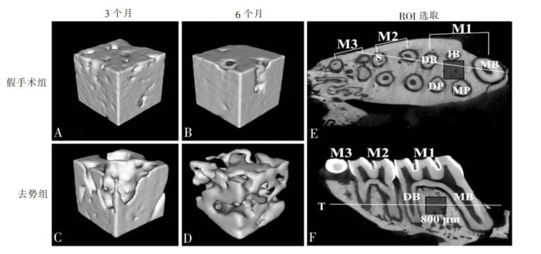 110238_090448_jswz.jpg 110238_090448_jswz.jpg