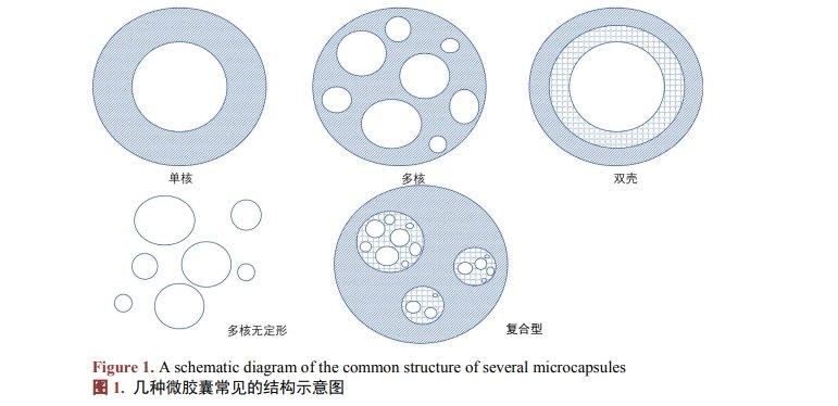 微膠囊常見的結構