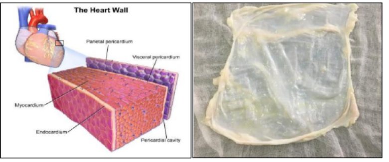 165910_498889_jswz.png 165910_498889_jswz.png