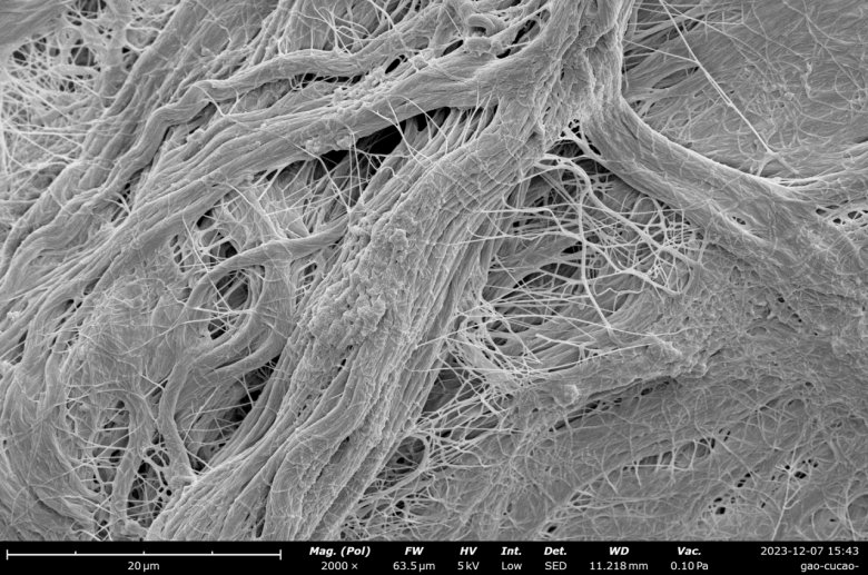 170031_870730_jswz.png 170031_870730_jswz.png