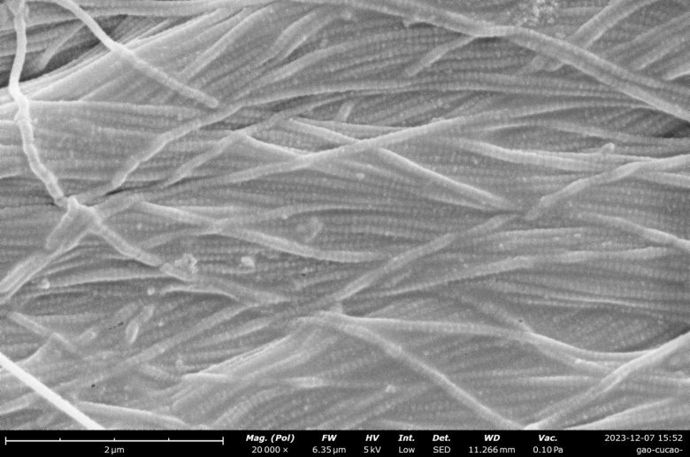 170034_910332_jswz.png 170034_910332_jswz.png