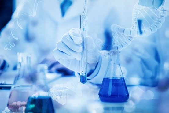 084027_804694_gsdt.png image.png