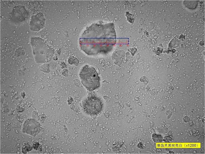 093822_244652_jswz.jpg 093822_244652_jswz.jpg