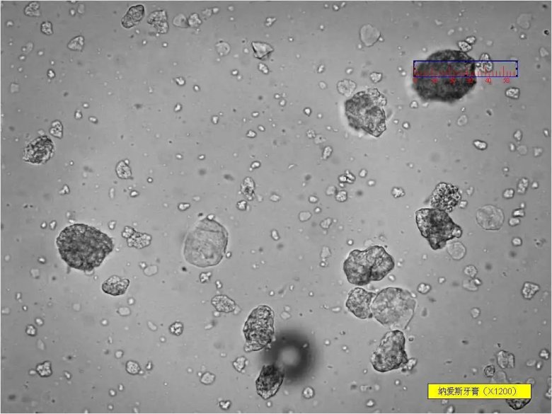 093822_270141_jswz.jpg 093822_270141_jswz.jpg