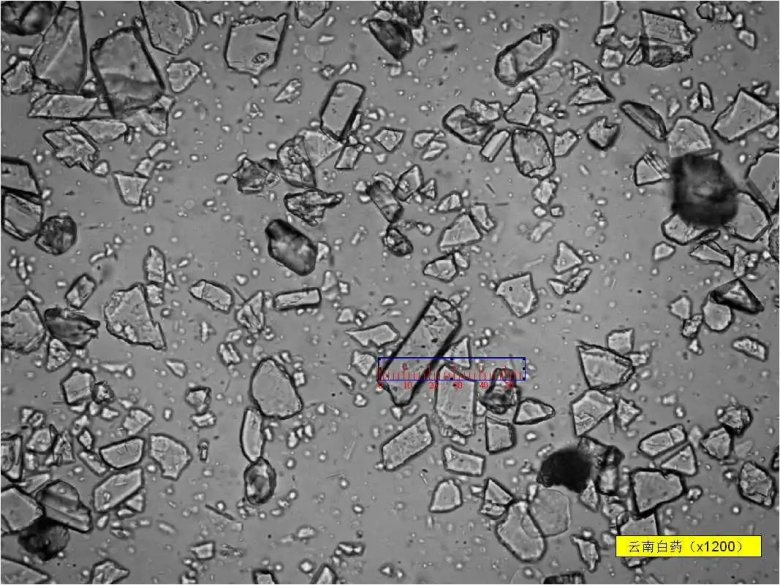 093822_594843_jswz.jpg 093822_594843_jswz.jpg