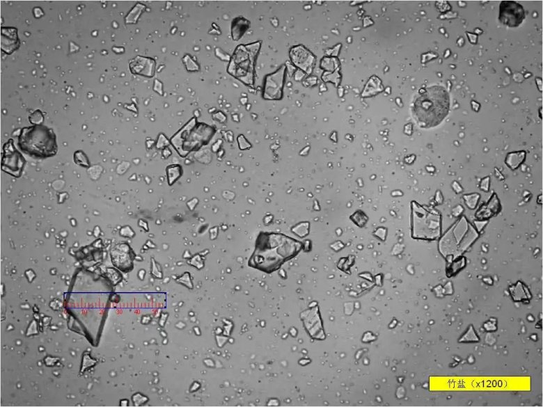 093823_039533_jswz.jpg 093823_039533_jswz.jpg