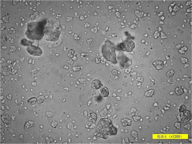 093823_225789_jswz.jpg 093823_225789_jswz.jpg