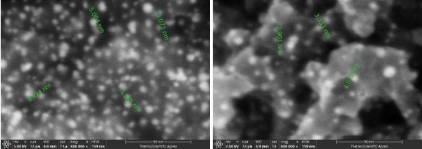 142423_095982_jswz.png 微信圖片_20240118141819.png