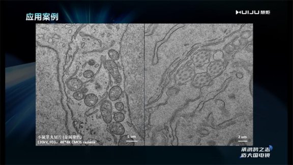 082711_678738_gsdt.png image.png