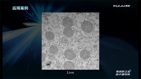 082720_649578_gsdt.png image.png