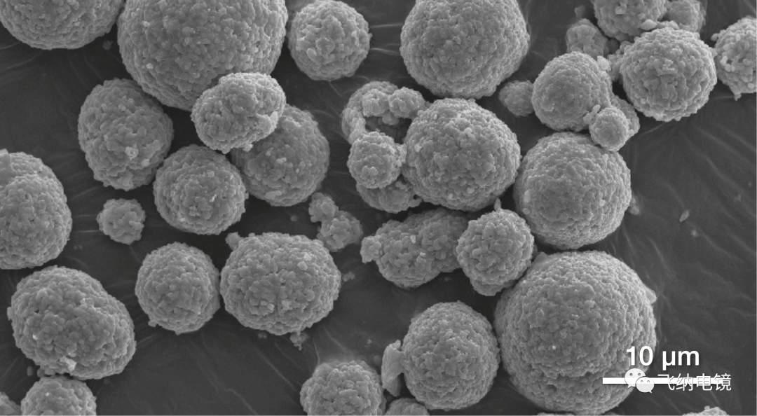 由 Phenom ParticleMetric 軟件測量的多晶 NCM 顆粒,顯示分布著大量的二次顆粒