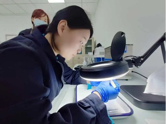 141421_673965_gsdt.png 141421_673965_gsdt.png