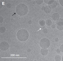 102459_152170_jswz.png 102459_152170_jswz.png