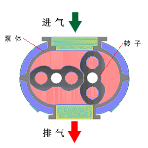 102733_698623_gsdt.gif 微信圖片_20240220142825.gif