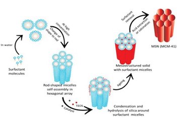 171636_156706_jswz.jpg 05.jpg