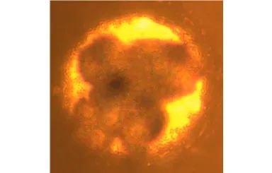 112948_020441_jswz.jpg 112948_020441_jswz.jpg