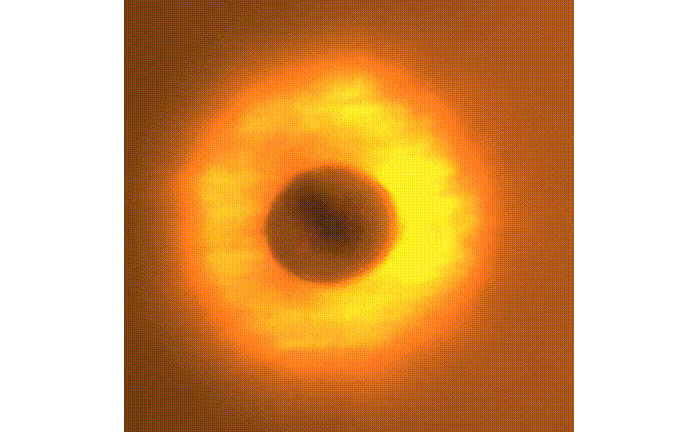 113009_047862_jswz.gif 113009_047862_jswz.gif