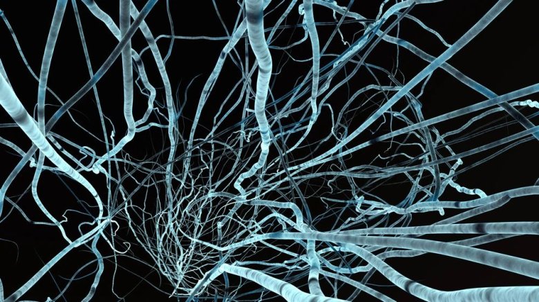 093323_610315_jswz.jpg 093323_610315_jswz.jpg