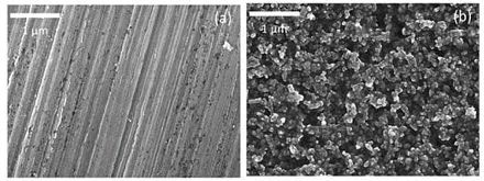 092136_724099_jswz.jpg 微信圖片_20240322092041.jpg