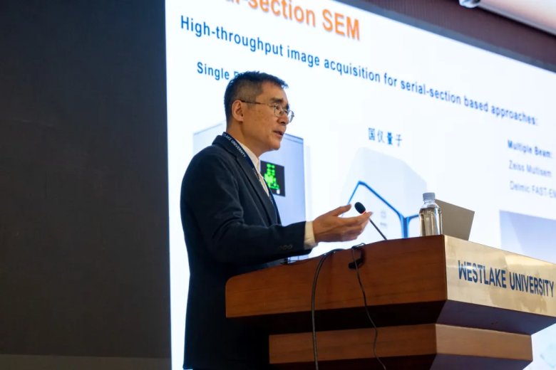 153231_294274_gsdt.png 153231_294274_gsdt.png